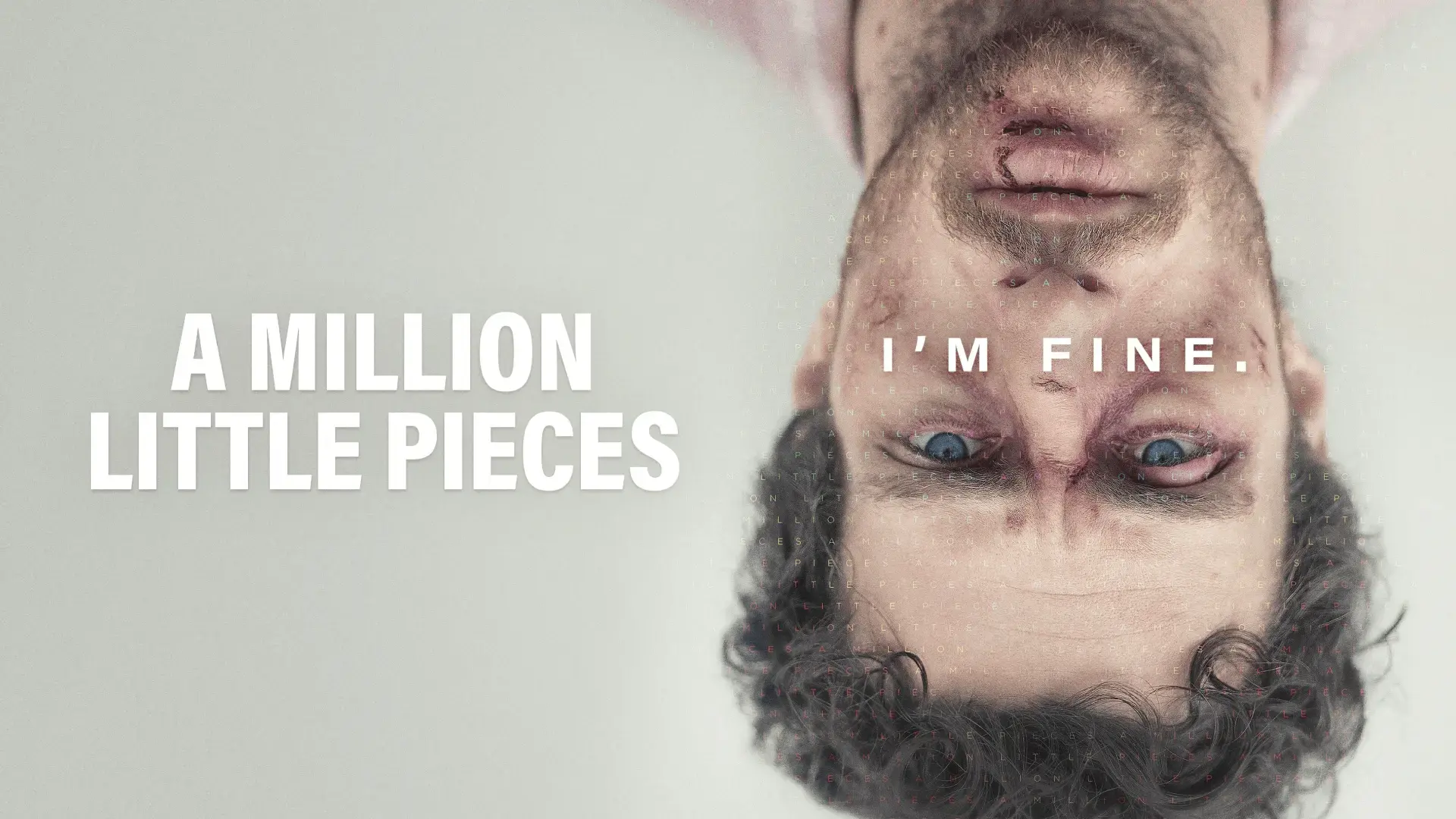 A Million Little Pieces-poster